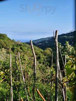 Azienda Agricola Serena Minieri - Trattoria Gli Spaiati, Savona