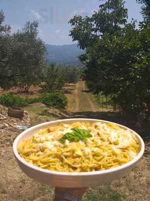 Azienda Agricola Vallefiorita