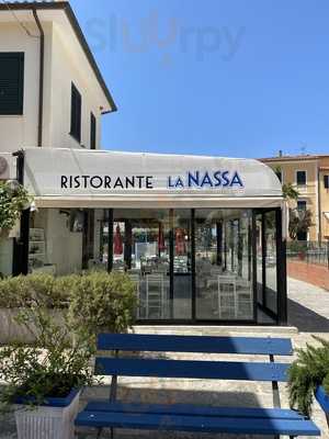 La Nassa, Procchio