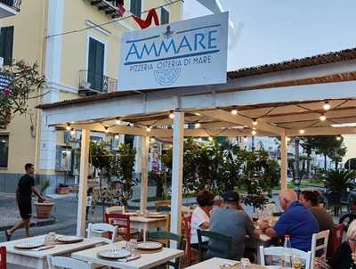 Ammare