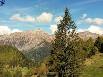 Malga Trat, Ledro