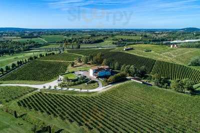 VIDUSSI Cantina, Capriva del Friuli