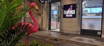 Flamingo