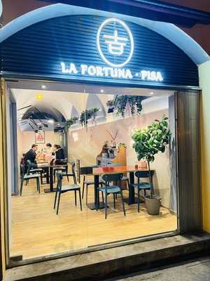 La Fortuna Asian Bistrot, Pisa