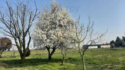 Agriturismo Le Giuggiole, Pessano con Bornago