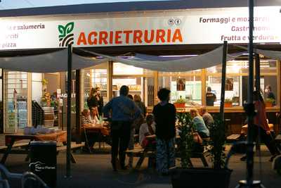 Agrietruria, Tarquinia