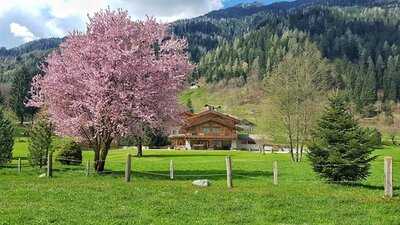 Maso del Brenta, Caderzone Terme