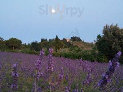 Podere Lemniscata, Montespertoli