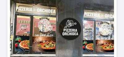 Pizzeria Orchidea, Bologna