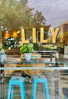 Lily Eatery Freemans Bay