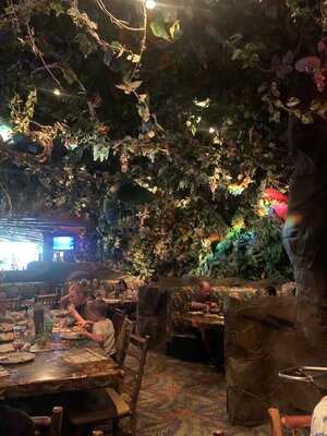 Rainforest Cafe - Sawgrass Mills South Florida, Sunrise