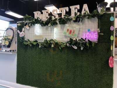 Bestea Boba Tea