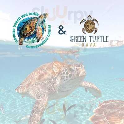 Green Turtle Kava Bar - Daytona Beach