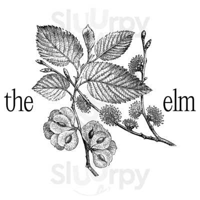 The Elm, Great Barrington