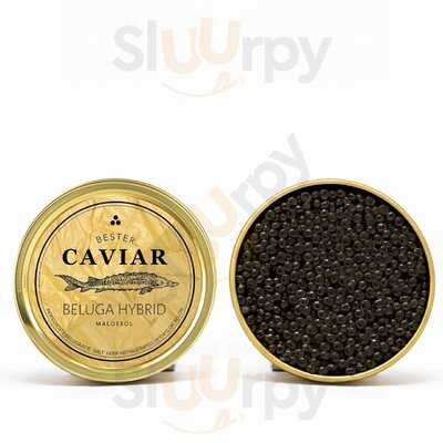 Bester Caviar, Miami