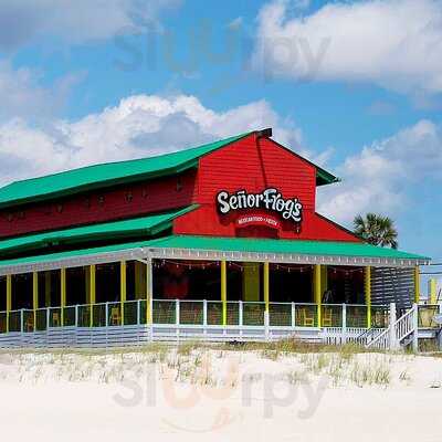 Senor Frog's Panama City Beach