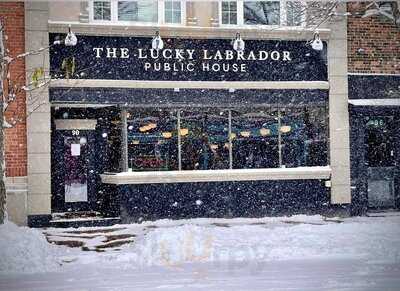 The Lucky Labrador Public House