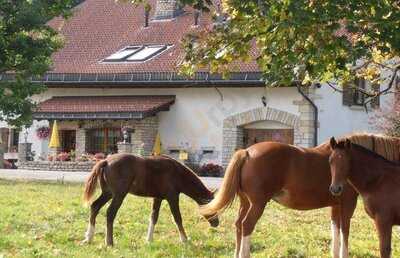Auberge Au Paradis De Chez Sémon menu