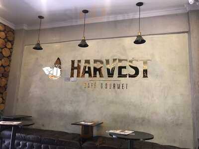 Harvest Café Gourmet