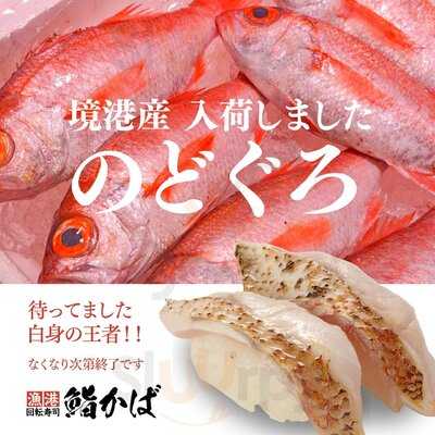漁港回転寿司 鮨かば