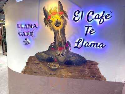 Llama Cafe