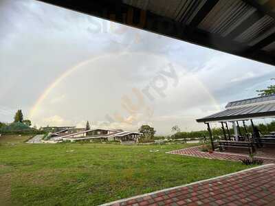 Gorio's Roadside Restaurant