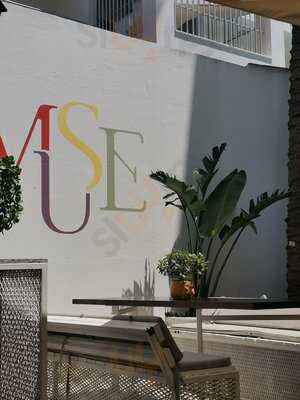 Muse The Juice