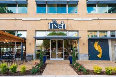 The Finch, Dallas