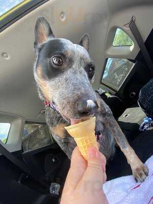 Crossroads Custard & Cold Brew