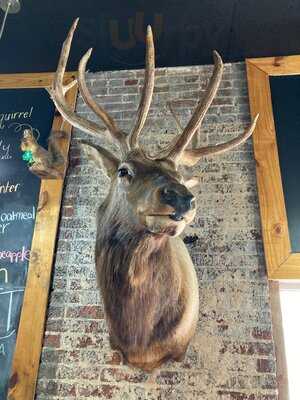 Backwoods Burger Bar, Kingsport