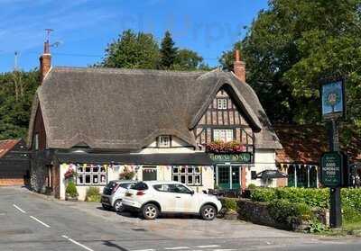 The Royal Oak