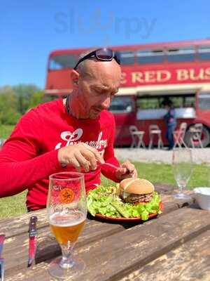 The RED BUS, Wirwignes