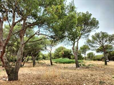 La Mesa - Les Pierres Blanches - Sète