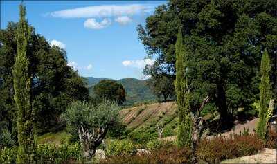 La Table Du Domaine Cappa