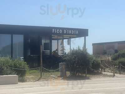 Fico  d'India, Cagliari