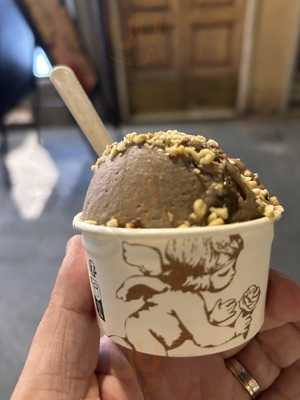 Amorino Gelato, Pisa