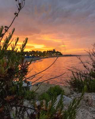 Moomba, Roseto Degli Abruzzi