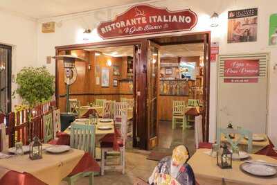 Ristorante Il Gatto Bianco