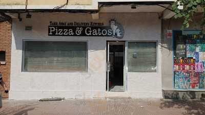 Pizza & Gatos