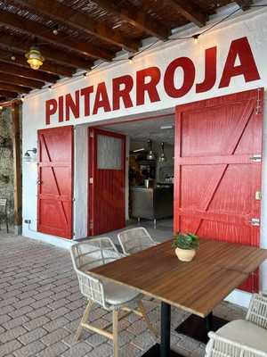 Pintarroja