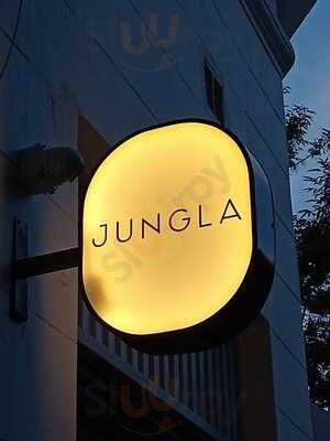 Jungla Plantas Y Café