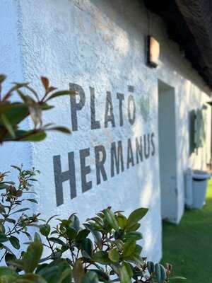 Plato Coffee Hermanus