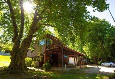 The Forest Restaurant