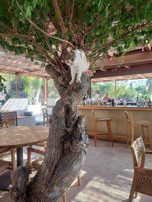 Buddha-bar Beach Milos