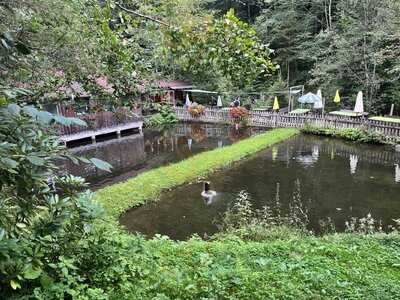 Zur Fischerhütte Bei Der Klause