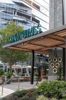 Sixty Vines - Charlotte, Charlotte