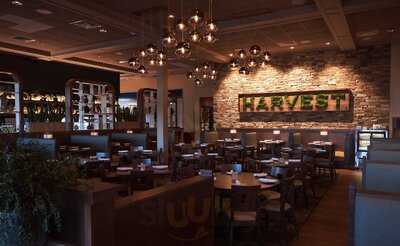 Harvest Seasonal Grill, Collegeville