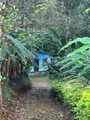 The Leaf Munnar Restaurant