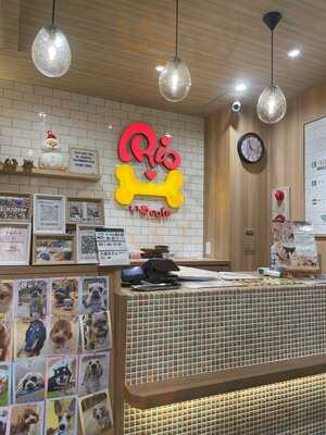 いぬカフェRIO 浅草店
