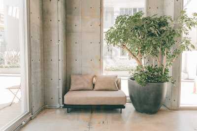 Spacetainment Coffee Standard